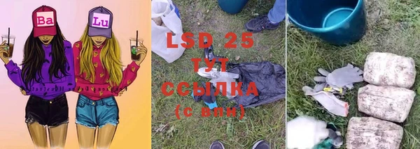 гидра Ладушкин