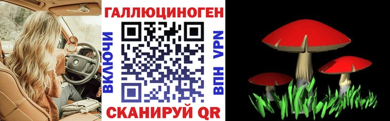 Галлюциногенные грибы прущие грибы  Купить  Находка 